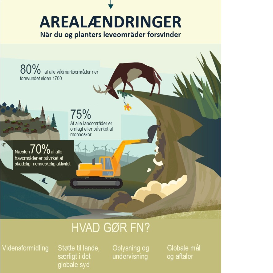 Arealændringer
