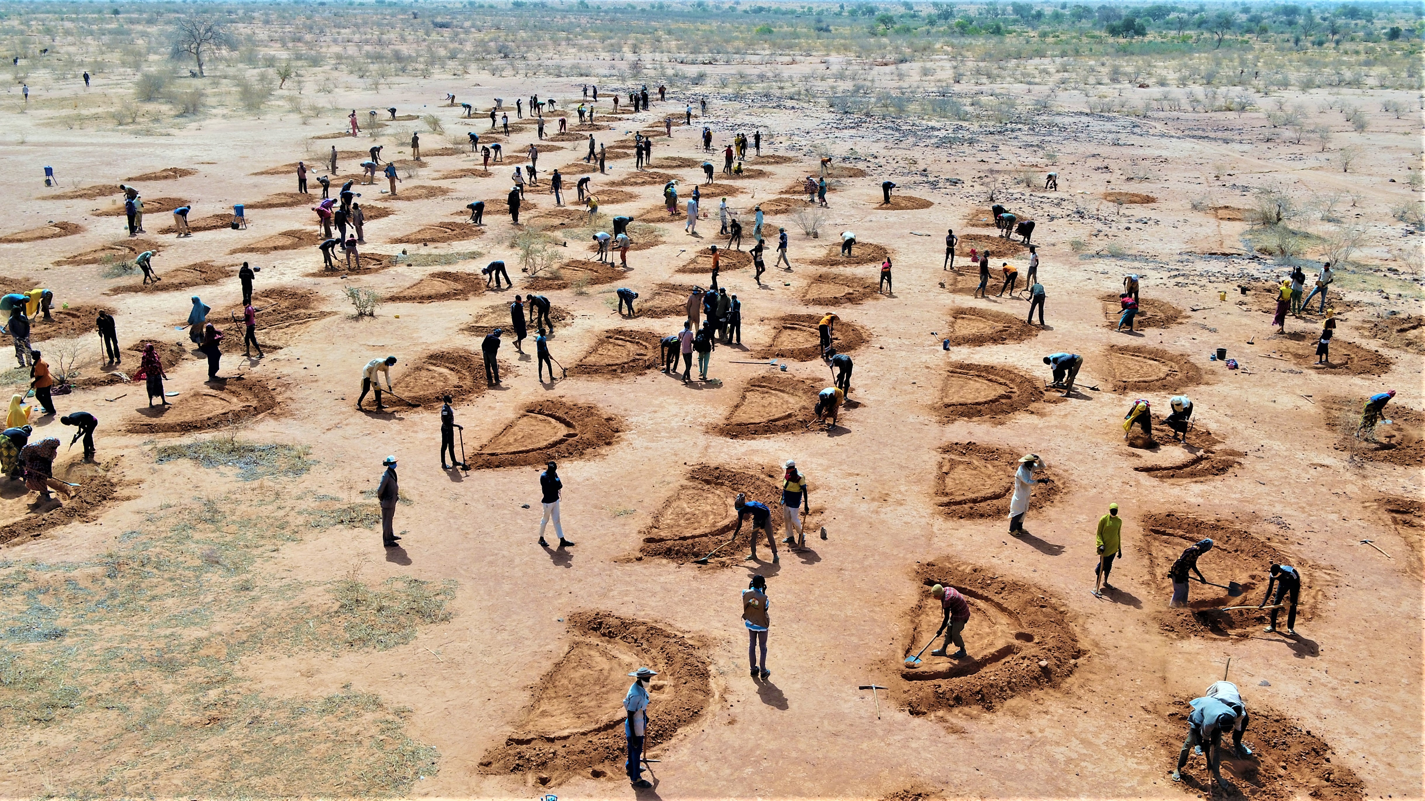 Bønder i Niger graver vanningssystemer