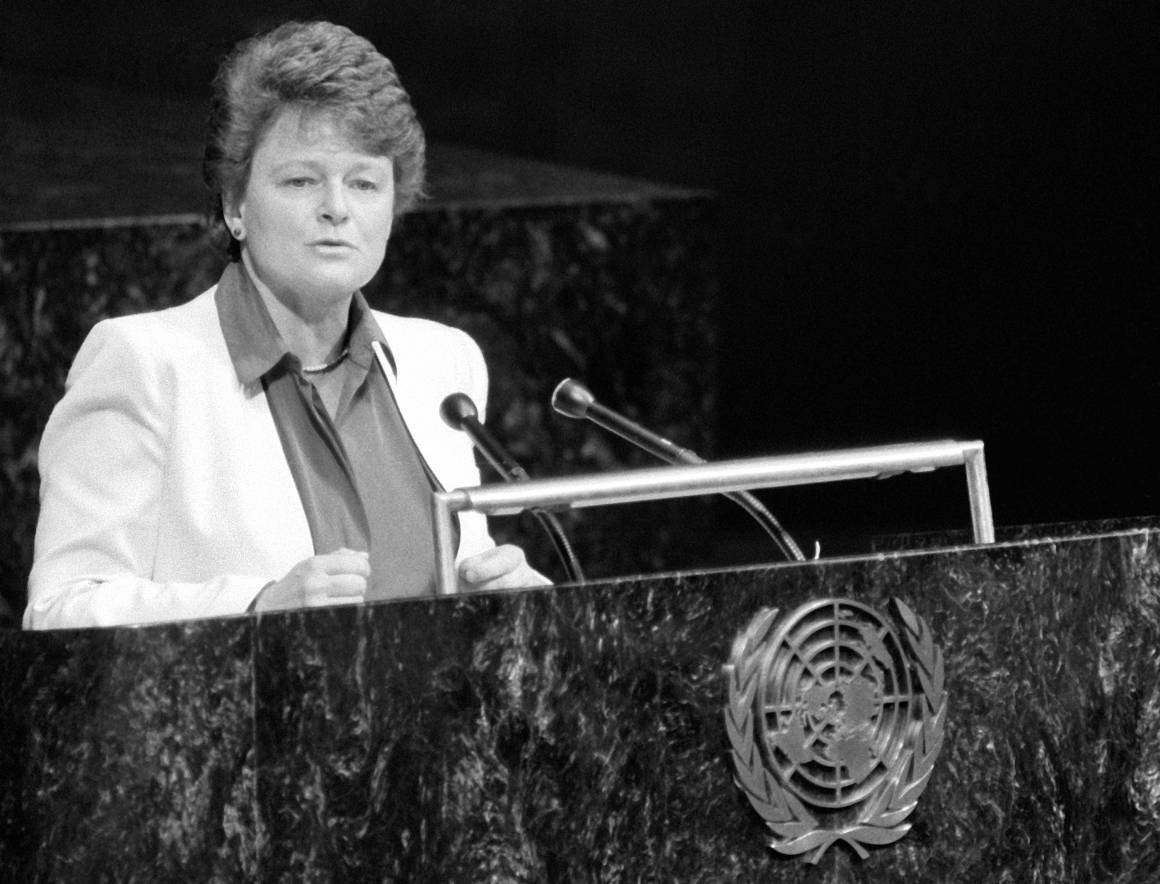 ro Harlem Brundtland taler til FNs generalforsamling