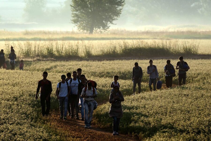 Migranter går gennem en mark på grænsen mellem Hellas og Nordmakedonien.