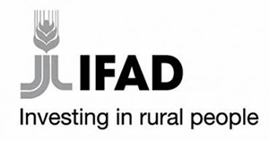 IFADs logo