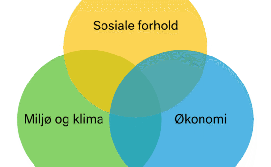 Bærekraftig utvikling består av tre dimensjoner