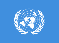 FNs flagg
