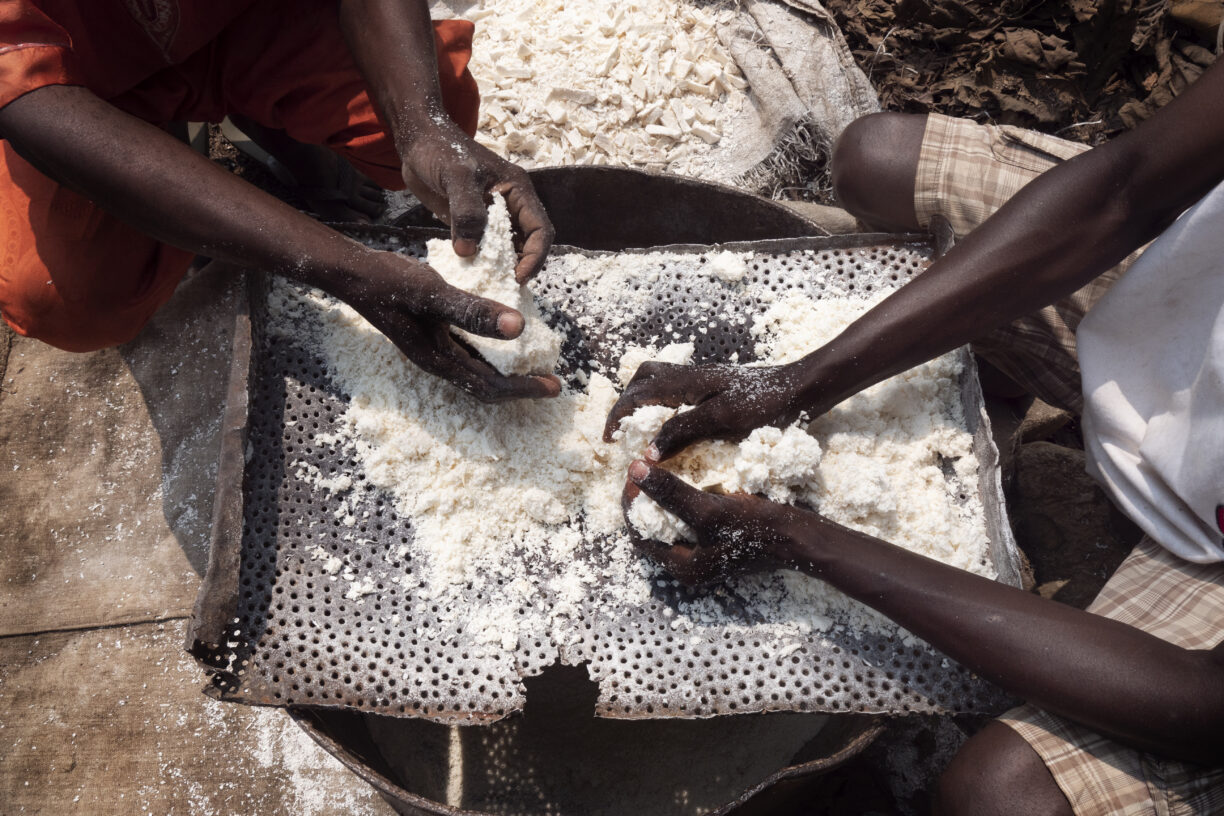 Maniok blir utnyttet for å forhindre underernæring i republikken Kongo. Foto: WFP trello/Eva Gillam