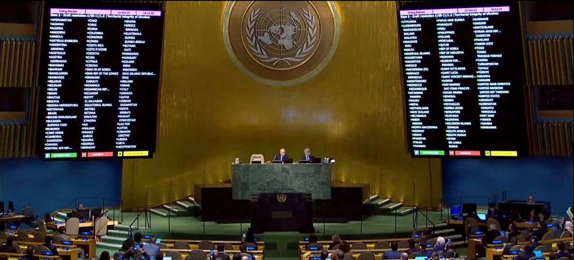 FNs generalforsamling