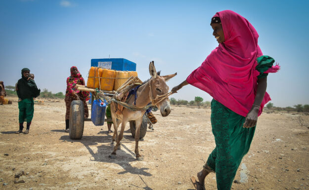 Svimlende 339 millioner mennesker trenger nå humanitær bistand globalt. WHOs finansieringsappell for året et på litt over to og en halv milliard dollar for å kunne gi livsviktig støtte. Photo: FAO/IFAD/WFP/Michael Tewelde.