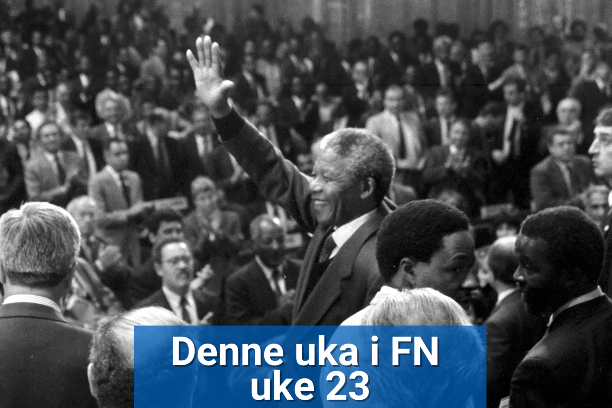 Nelson Mandela deltok på Den internasjonale arbeidskonferansens 77. sesjon i 1990. Mandela, som var visepresident av Sør-Afrikas African National Congress (ANC) på den tiden, hadde nylig blitt løslatt fra fengsel etter 27 år. Han hyllet ILO for kampen mot apartheid på 1960-tallet. Foto: ILO