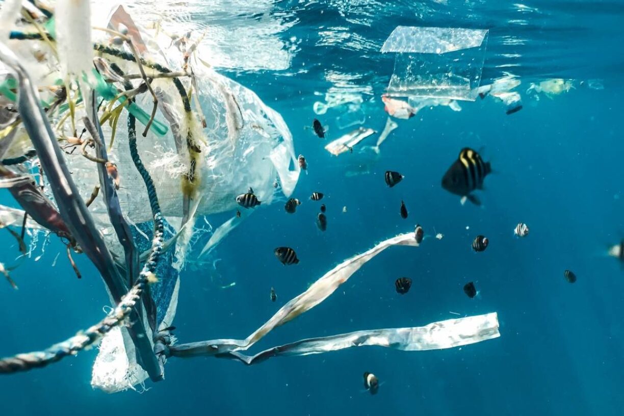 Årets miljødag markeres under temaet «Solutions to plastic pollution», som handler om å finne en løsning på plastforurensning. Foto: Naja Bertolt Jensen/Unsplash