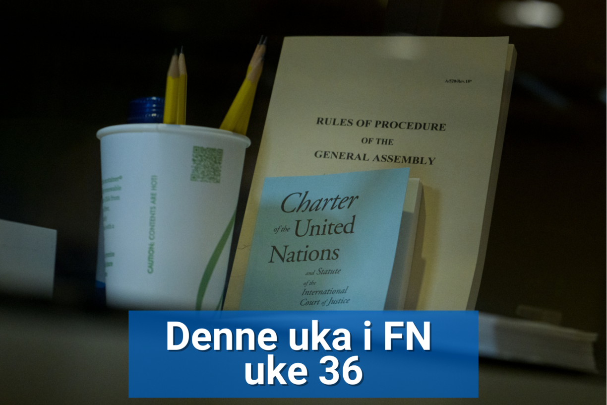 Den 78. sesjonen av FNs generalforsamling – UNGA78 – begynner denne uken. Hva vet du om verdens mest representative forum? Foto: UN Photo/Manuel Elías.