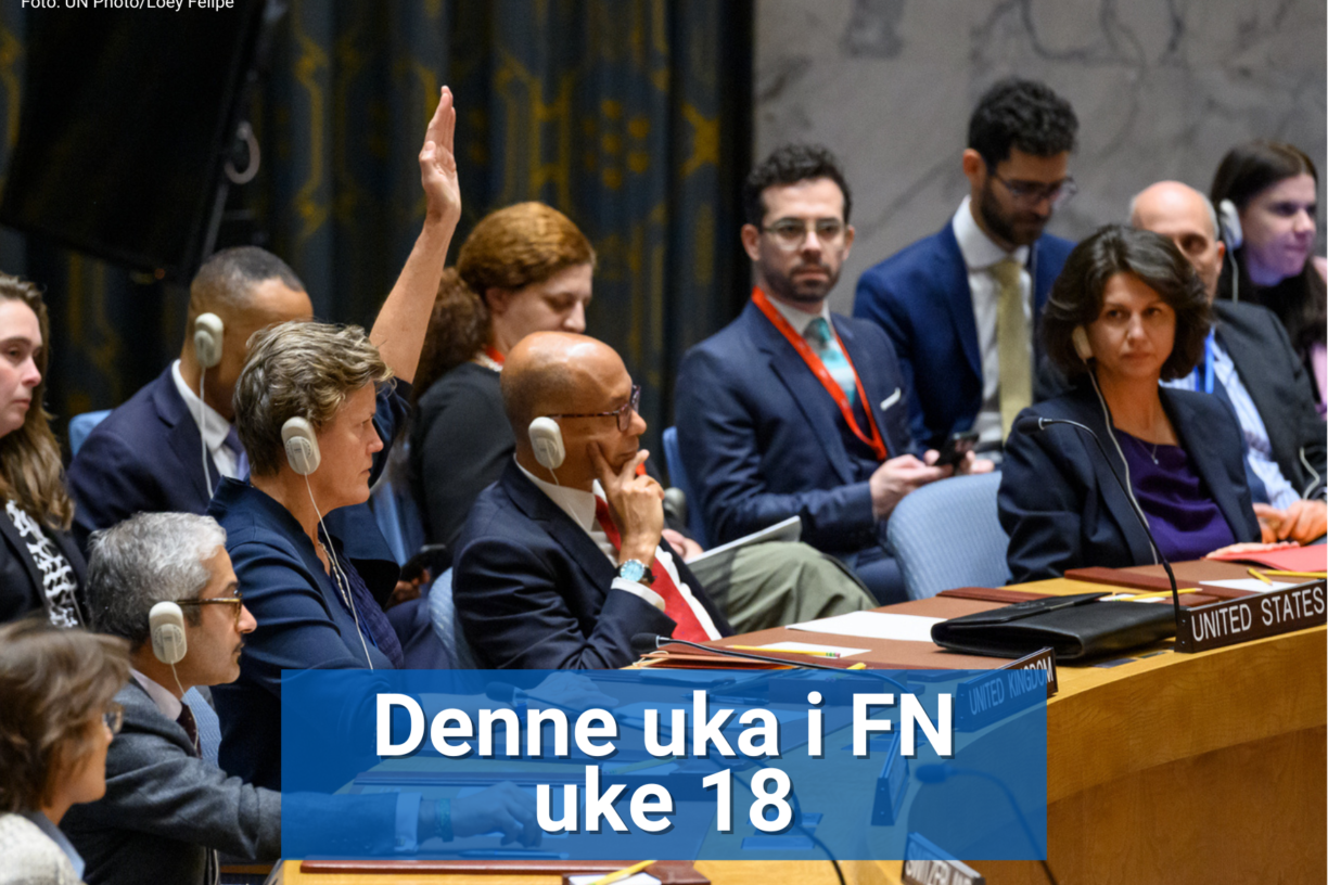 Siden FN ble opprettet har vetomakten blitt brukt hele 321 ganger, og flere ganger under Gaza-krisen. Bildet viser da Storbritannia avsto fra å stemme på en resolusjon i desember. Foto: UN Photo/Loey Felipe.