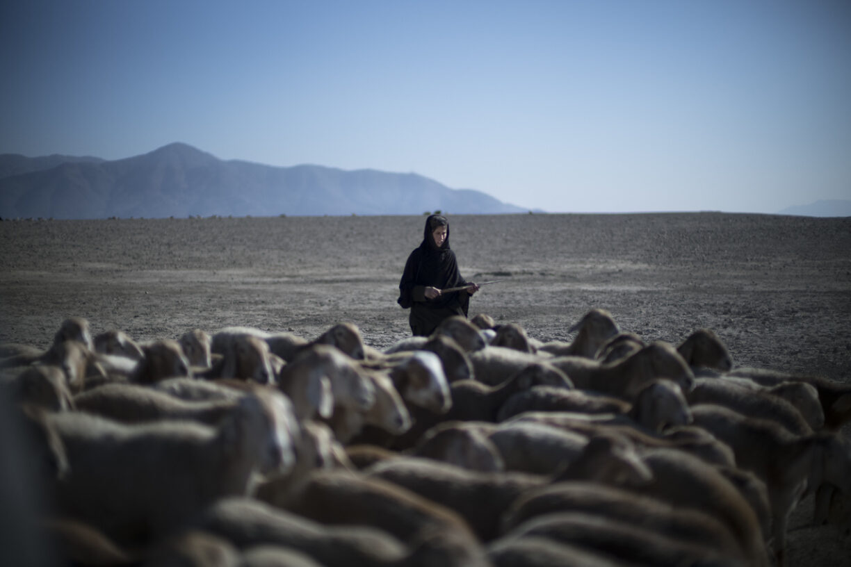 En uttørket mark i Afghanistan som tidligere var våtmark og en viktig vannkilde. I dag er dette området under store deler av året preget av tørke, som hindrer mat og drikketilførsel til gårdsdyrene. Afghanistans HDI har fått et tilbakeslag på 10 år ifølge UNDP globale utviklingsrapport for 2023/2024. Foto: Liz Loh-Taylor/OCHA