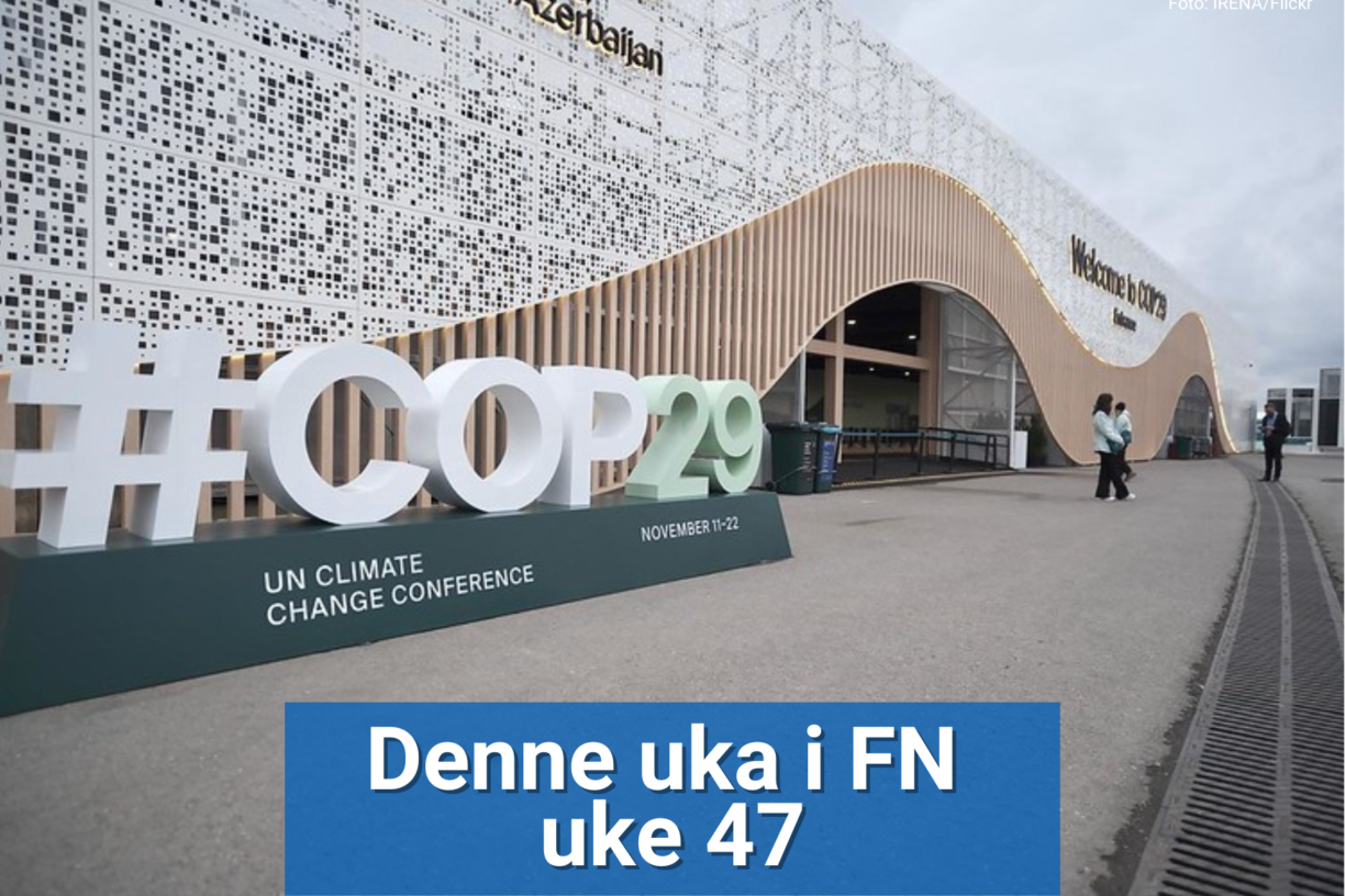 COP29 holdes på olympiastadium i Baku, Aserbajdsjan fra 11. til 22. november. FN-sambandet gir deg tre ting vi har lært så langt. Foto: IRENA/Flickr