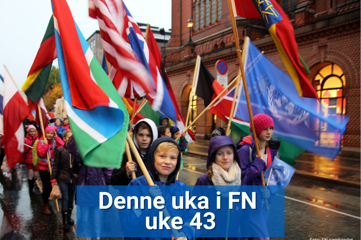 På torsdag 24. oktober er det FN-dagen! Denne dagen feires landet rundt, og FN-sambandet gir deg oversikten over hva bør få med deg. Foto: FN-sambandet