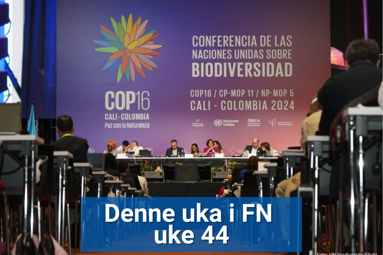 FN-sambandet gir deg noen av begrepene du bør kunne for å følge forhandlingene på naturtoppmøtet COP16, som holdes i Cali, Colombia, fra 21. oktober til 1. november. Foto: UN Biodiversity/Flickr