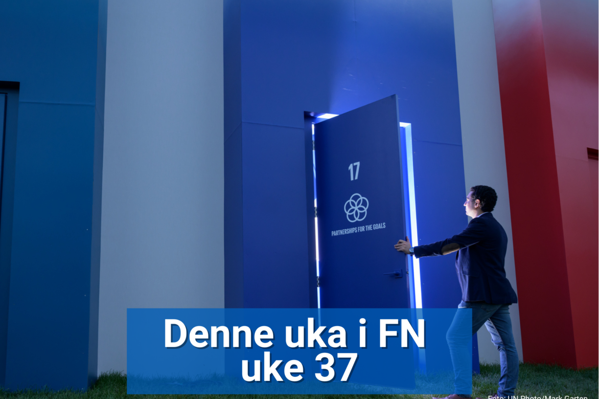 — Ifølge FN trengs minst fire tusen milliarder dollar for å nå FNs bærekraftsmål. Det er kun én  prosent av den totale globale rikdommen i verden, men dette når likevel ikke de som trenger det mest, understreker FN-sambandets generalsekretær, Catharina Bu. Foto: UN Photo/Mark Garten