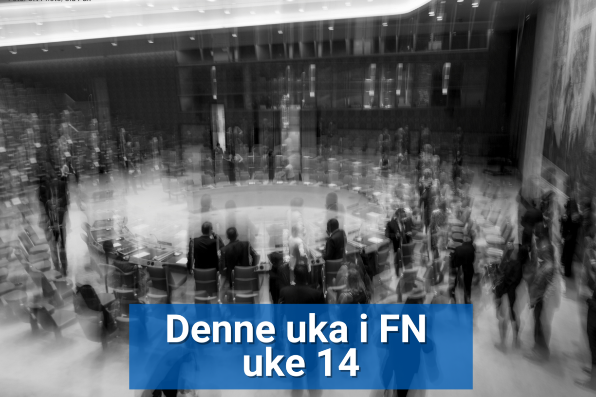 FN-reform er ingen ny diskusjon, men behovet for reform av Sikkerhetsråd er kanskje større enn noen gang. Spesielt etter at Donald Trump ble president i USA for andre gang i 2025, har behovet for å styrke FNs rolle i verden blitt mer akutt. Det er klart for de fleste at maktfordelingen i FN ikke reflekterer dagens geopolitiske realiteter. Foto: UN Photo/Cia Pak