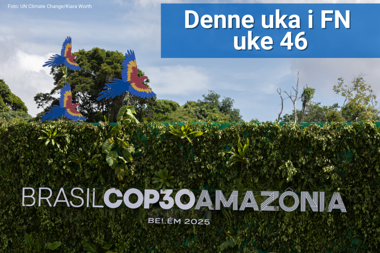 Verdens ledere går rett fra Verdenstoppmøtet om sosial utvikling i Doha til klimatoppmøtet COP30 i Brasil, der avgjørende beslutninger om penger og klimamål for 2035 skal tas. Skal vi fortsatt ha en sjanse til å begrense oppvarmingen til 1,5 grader, må løftene bli handling. Foto: UN Climate Change/Kiara Worth