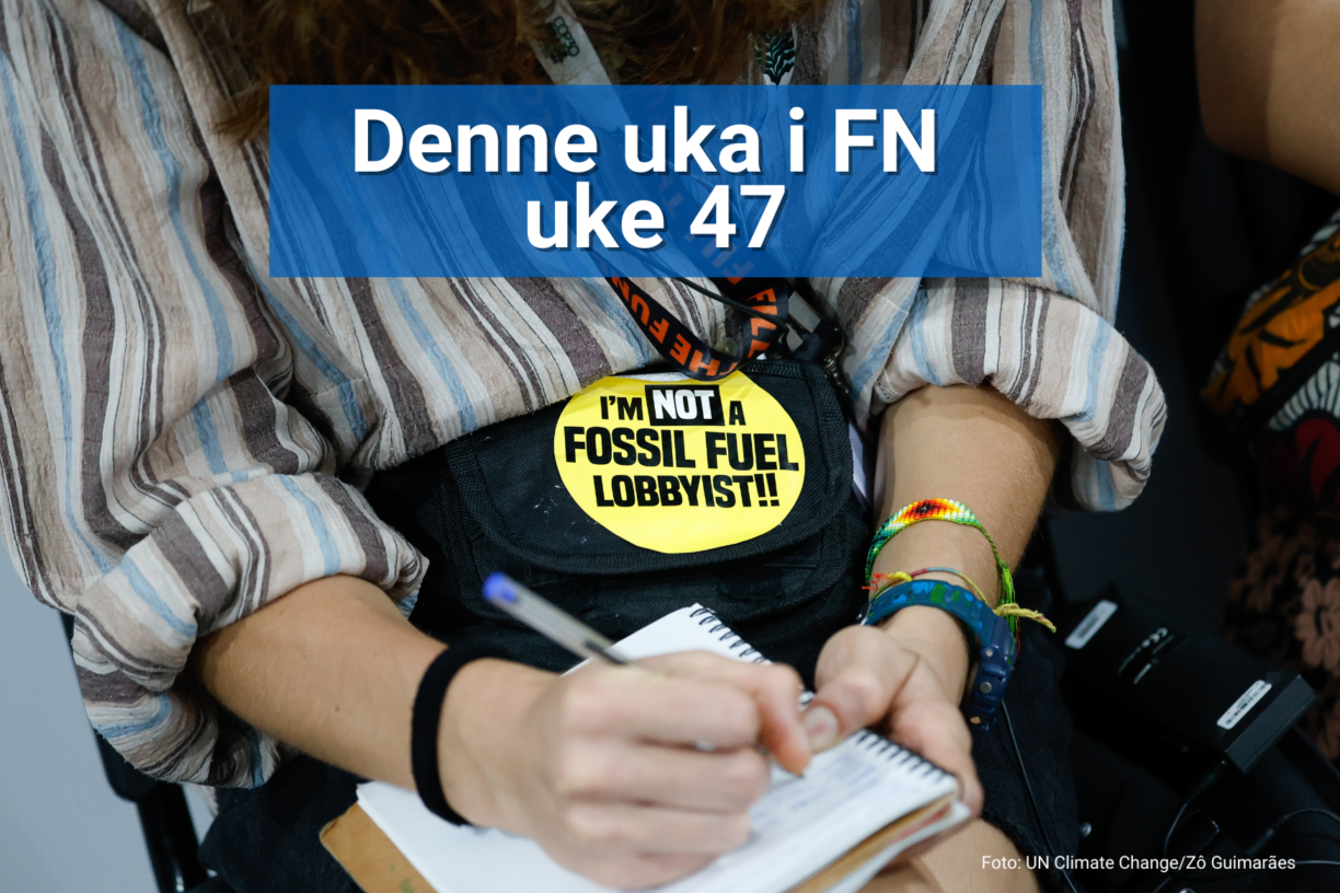 Hvordan går det på COP30? FN-sambandet forklarer. Foto: UN Climate Change/Zô Guimarães