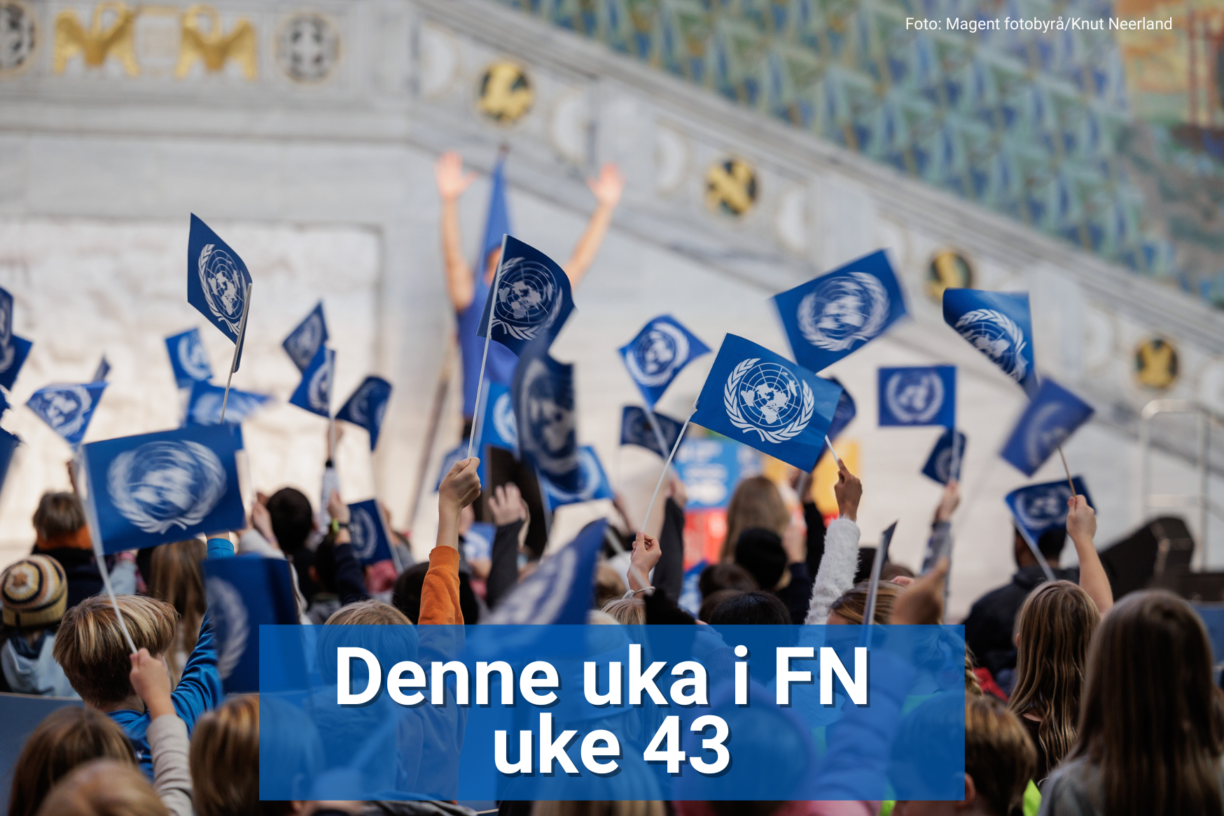 Nå er det snart FN-dagen igjen. På denne dagen, i FNs 80. år, skjer det mye spennende rundt om i landet. Foto: Magent fotobyrå/Knut Neerland