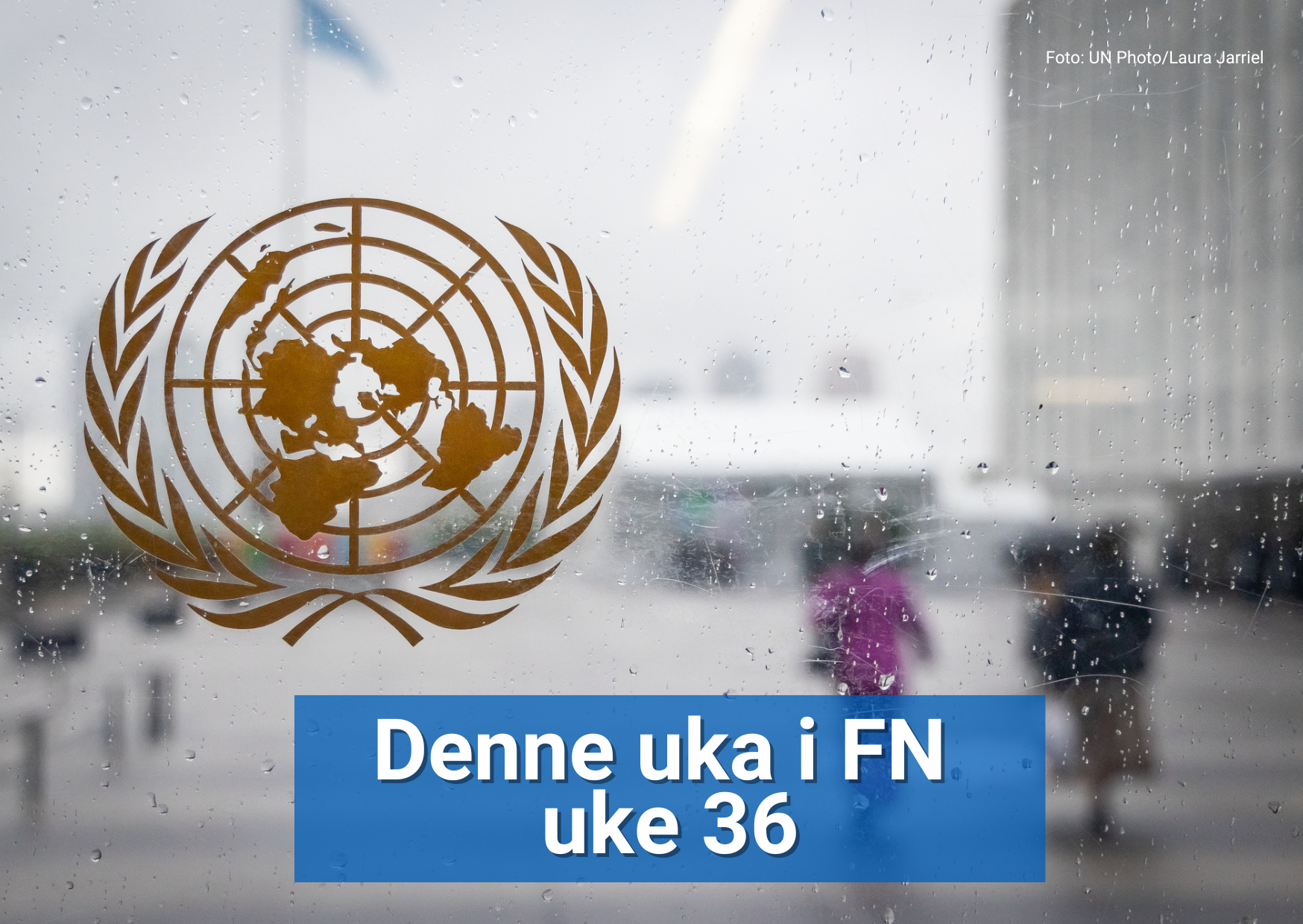 denne-uka-i-fn-h-p-eller-hodepine-hva-kan-skje-under-unga80