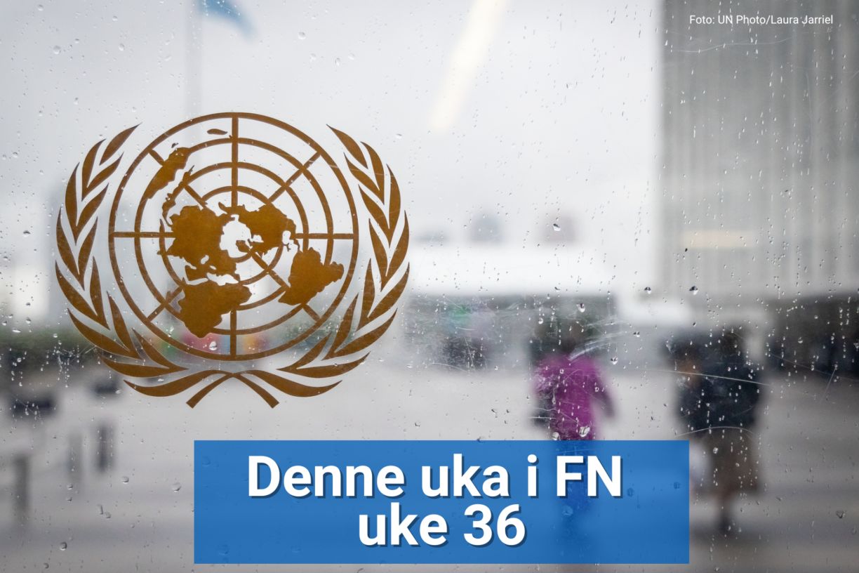 Nå er det september igjen, og det betyr at FNs generalforsamling – nå i sin 80. sesjon – er rett rundt hjørnet. FN-sambandet forklarer hva vi kan forvente. Foto: UN Photo/Laura Jarriel
