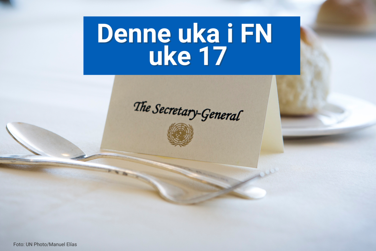 Hvem blir neste FN-sjef? På tirsdag og onsdag denne uken holdes åpne høringer der de fire kandidatene vil bli grillet av medlemsland og sivilsamfunn. Og FN-sambandet liker å være litt i forkant. Vi gir deg våre favoritter med terningkast. Foto: UN Photo/Manuel Elías