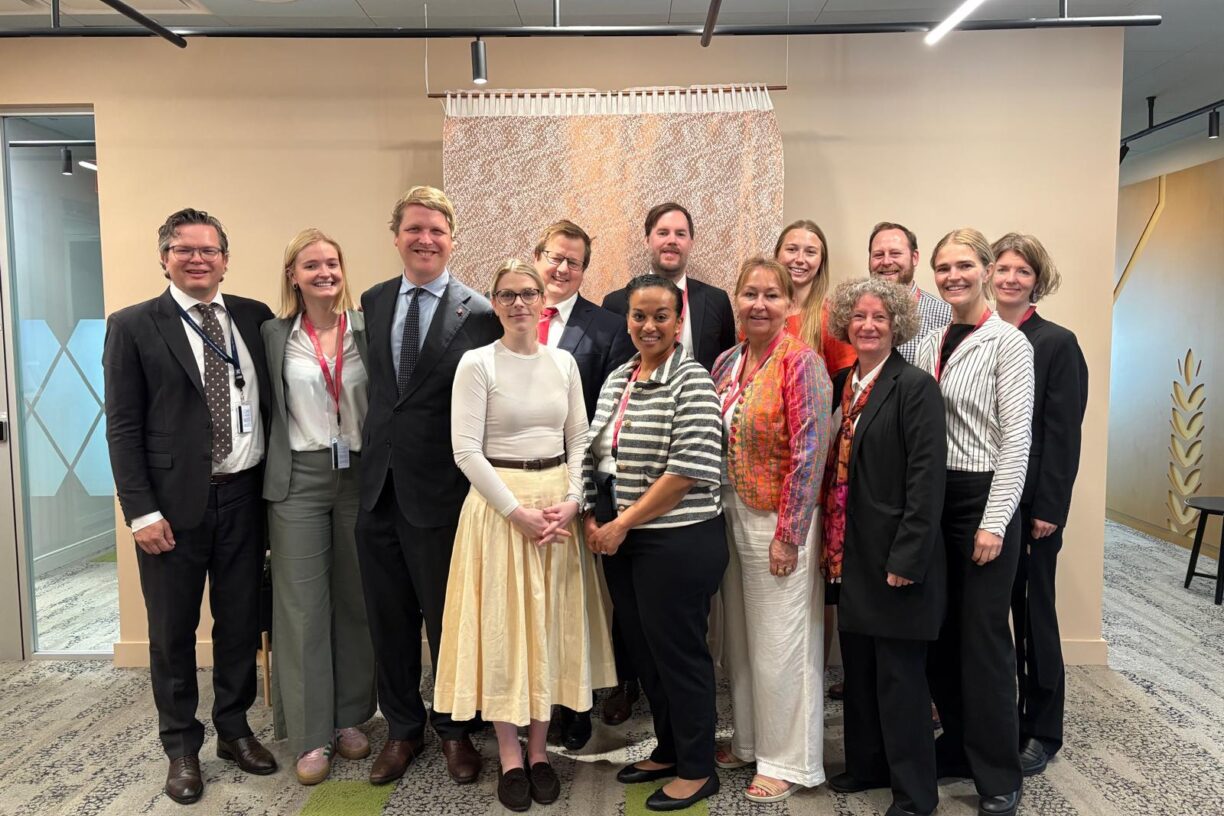 Deler av den norske delegasjonen. Øverst fra venstre: Vegard Holmelid (UD), Maria Aarre Hånes (UD), Åsmund Aukrust (UD), Martin Østtveit-Moe (KDD), Jesper Tangenes Bæverfjord (DFD), Amalie Bjørnsen (LNU), Aron Halfen (ForUM), Oda Sofie Heien Larsen (FN-sambandet), Ellen Aabø (UD). Foran fra venstre: Anette Davidsen (DFD), Tehetena Woldemariam (NOREC), Gunn Marit Helgesen (KS), Mona Helland (KDD). Foto: FN-sambandet