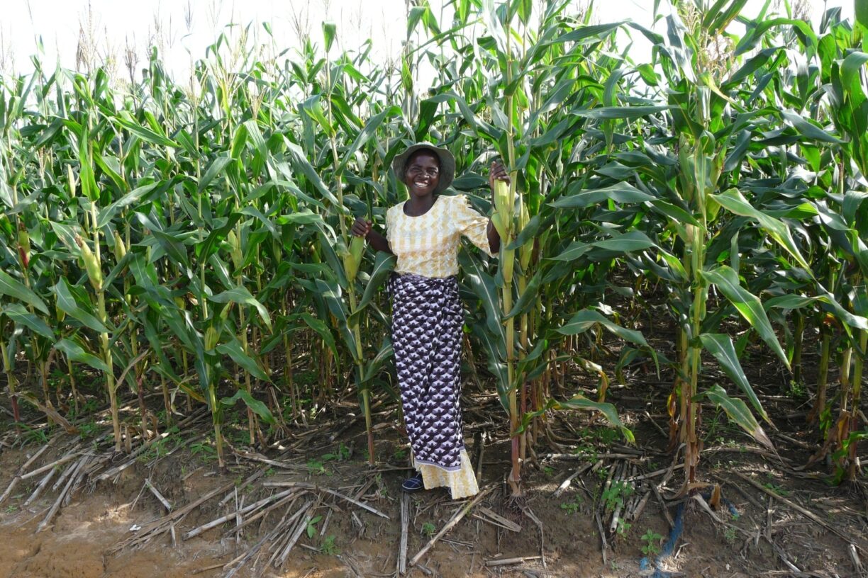 2026 er FNs internasjonale år for kvinnelige bønder. Likestilling i landbruket er avgjørende for å nå bærekraftsmålene og sikre mat for fremtiden. Foto: CIMMYT/Patrick Wall