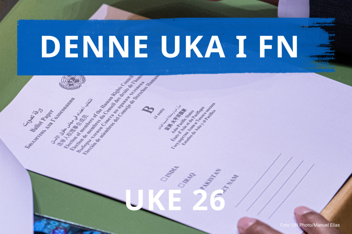 Nå er det 20 år siden FNs menneskerettighetsråd ble opprettet. Men, hva har egentlig Rådet fått til? Bildet viser fjorårets valg av medlemmer til Rådet i Generalforsamlingen. Foto: UN Photo/Manuel Elías
