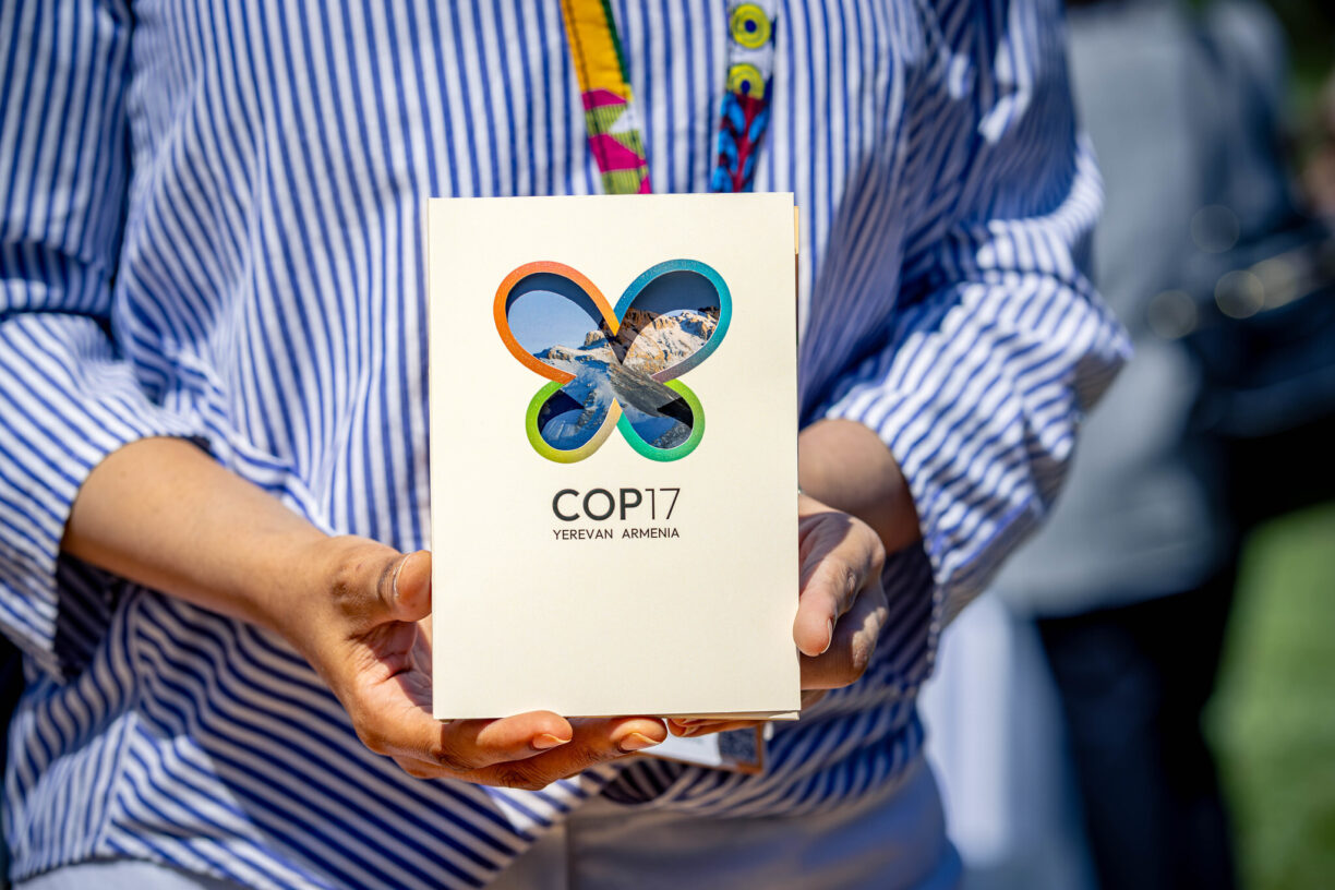 Fra 19. til 30. oktober arrangeres FNs naturtoppmøte COP17 i Jerevan, Armenia. Her skal verdens land «opp til eksamen» i hvor godt de har fulgt opp naturavtalen fra 2022. Foto: UNEP/Ahmed Nayim Yussuf