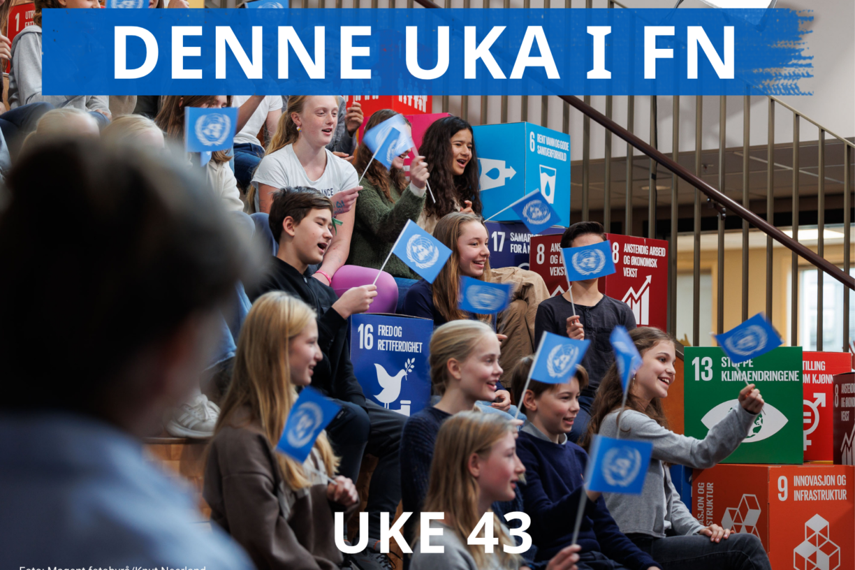 Lørdag 24. oktober er det FN-dagen! Denne uka feirer vi FN landet rundt. Foto: Magent fotobyrå/Knut Neerland
