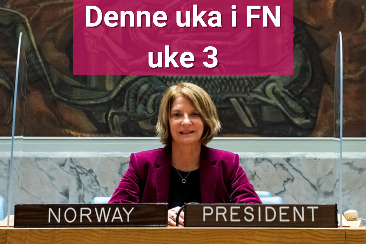 1. januar tok Norge over presidentskapet i FNs sikkerhetsråd. Vår FN-ambassadør Mona Juul leder arbeidet i “verdens mektigste rom” denne måneden. Foto: UN Photo/Mark Garten