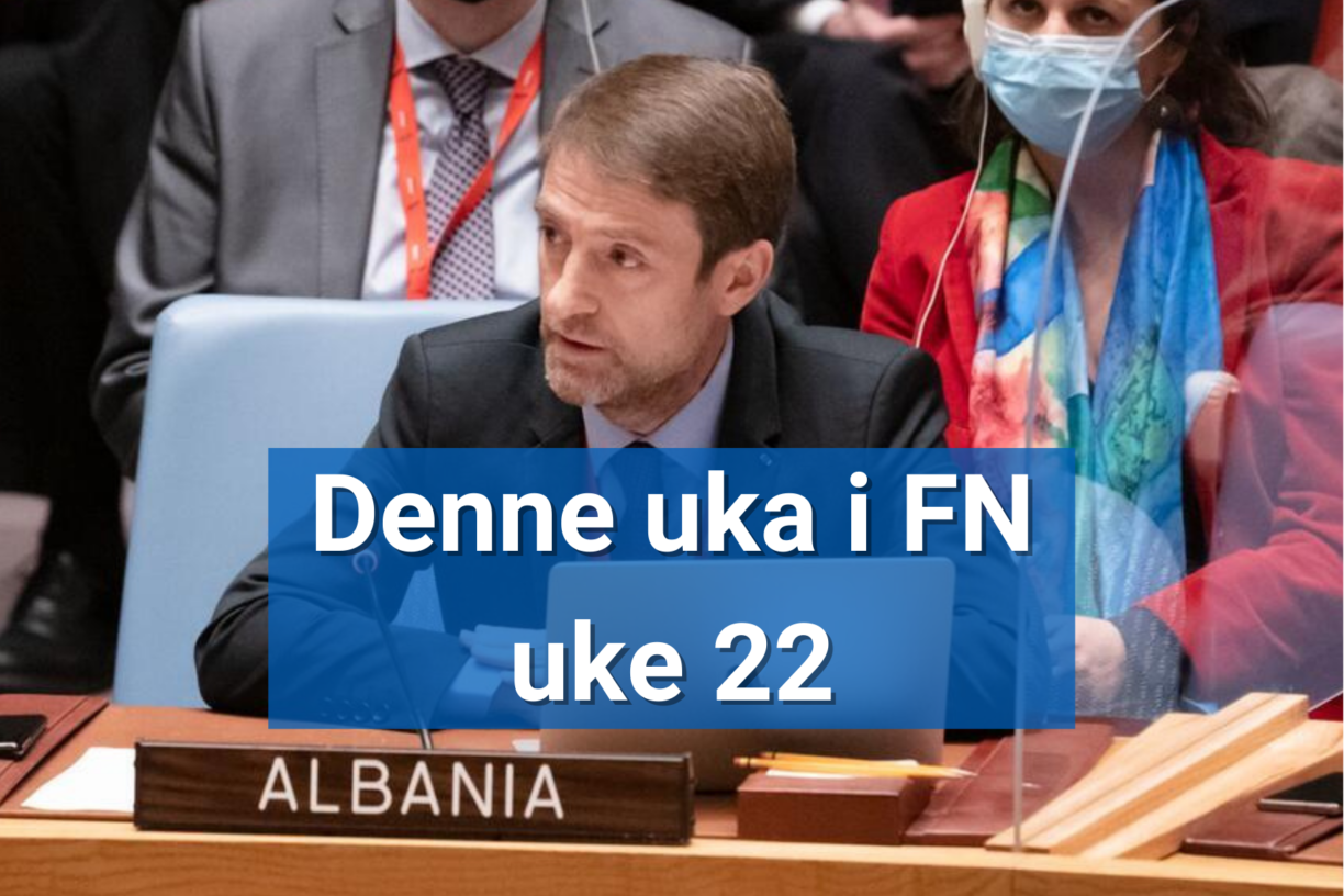 Albania har presidentskapet i FNs sikkerhetsråd i juni. Landets FN-ambassadør Ferit Hoxha vil orientere pressen om programmet denne onsdagen. Foto: UN Photo/Mark Garten