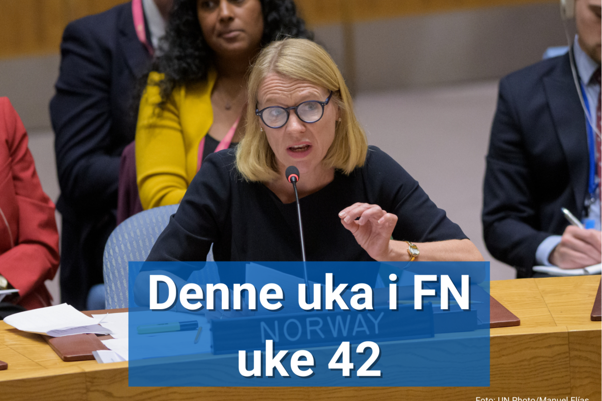 Utenriksminister Anniken Huitfeldt holdt sitt innlegg under Sikkerhetsrådsmøtet om trusler mot internasjonal fred og sikkerhet, med fokus på klimaendringer i Afrika. Foto: UN Photo/Manuel Elías.