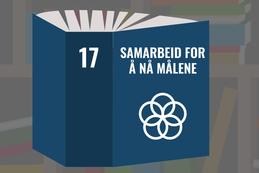 Leseliste mål 17